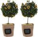Item International Item Deurstopper plant - 2x - 1 kilo - geel - polyester - 18 x 18 x 36 cm