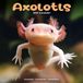 Avonside Axoloths Kalender 2027