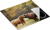 Chefcare Inductie Beschermer Twee Schotse Hooglanders - 57,6x51,6 cm