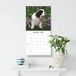 Red Robin Sint Bernard Kalender 2027 Wandkalender