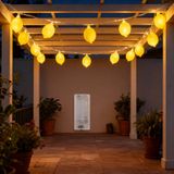Arti Casa Lichtslinger Citroen - 10 Lampjes - LED - 200 cm