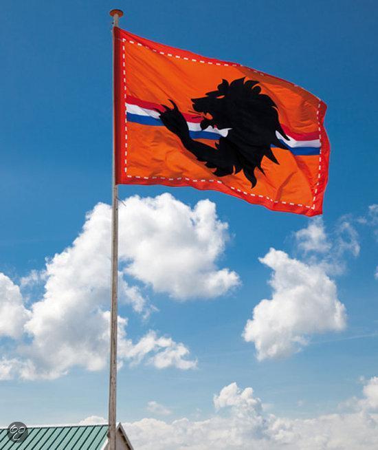 Boland Reuze Stadionvlag Leeuw (200 x 300 cm