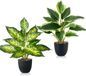 Ibenzoa® Plantes artificielles, lot de 2 – 37 cm