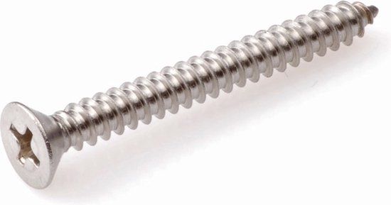 Hoenderdaal Fasteners Hoenderdaal zelftappende plaatschroeven RVS A2 PH-2 platverzonken kop 4,2 x 19 mm 200 stuks