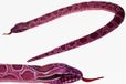 Cornelissen Python slang knuffel - Roze pluche speelgoed van 150 cm