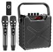 Karaokemachine - Portable - Bluetooth - 2 microphones sans fil