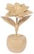 Decopatch Poinsettia - kerstster in pot naturel