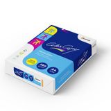 Antalis 482231 Impression jet d'encre A4 250 g/m² Blanc 125 feuilles