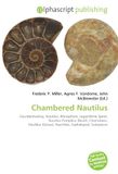 Chambered Nautilus: Countershading, Nautilus, Rhinophore, Logarithmic Spiral, Nautilus Pompilius (Band), Chemotaxis, Nautilus (Genus), Nautilida, Cephalopod, Subspecies