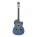 Ibanez Akoestische gitaar/GA5FMTCEOB standaard
