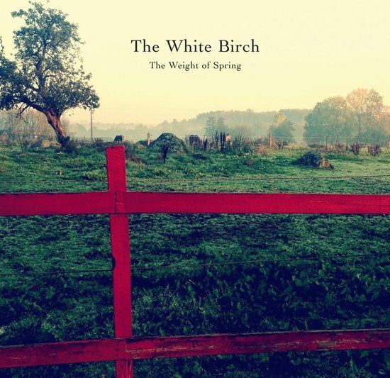 Suburban White Birch Weight Of Spring