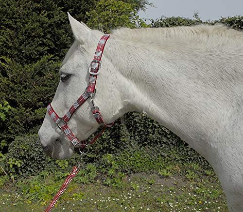 Rhinegold Unisex's Carnaval Halster & Touw - Rood Check - Cob