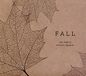 Fall