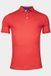 Baileys Polo korte mouw Rood Poloshirt Pique 515232/33
