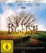 Plaion Big Fish - Der Zauber, der ein Leben zur Legende macht Blu-ray