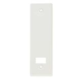 Amig Aluminium afdekking of sierlijst met witte afwerking voor rolluikopwinder - Afmetingen: 22,2 x 6,5 cm - Afstand tussen de schroeven: 17 cm - Dikte: 0,5 mm