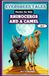 EVERGREEN TALES: RHINOCEROS AND A CAMEL