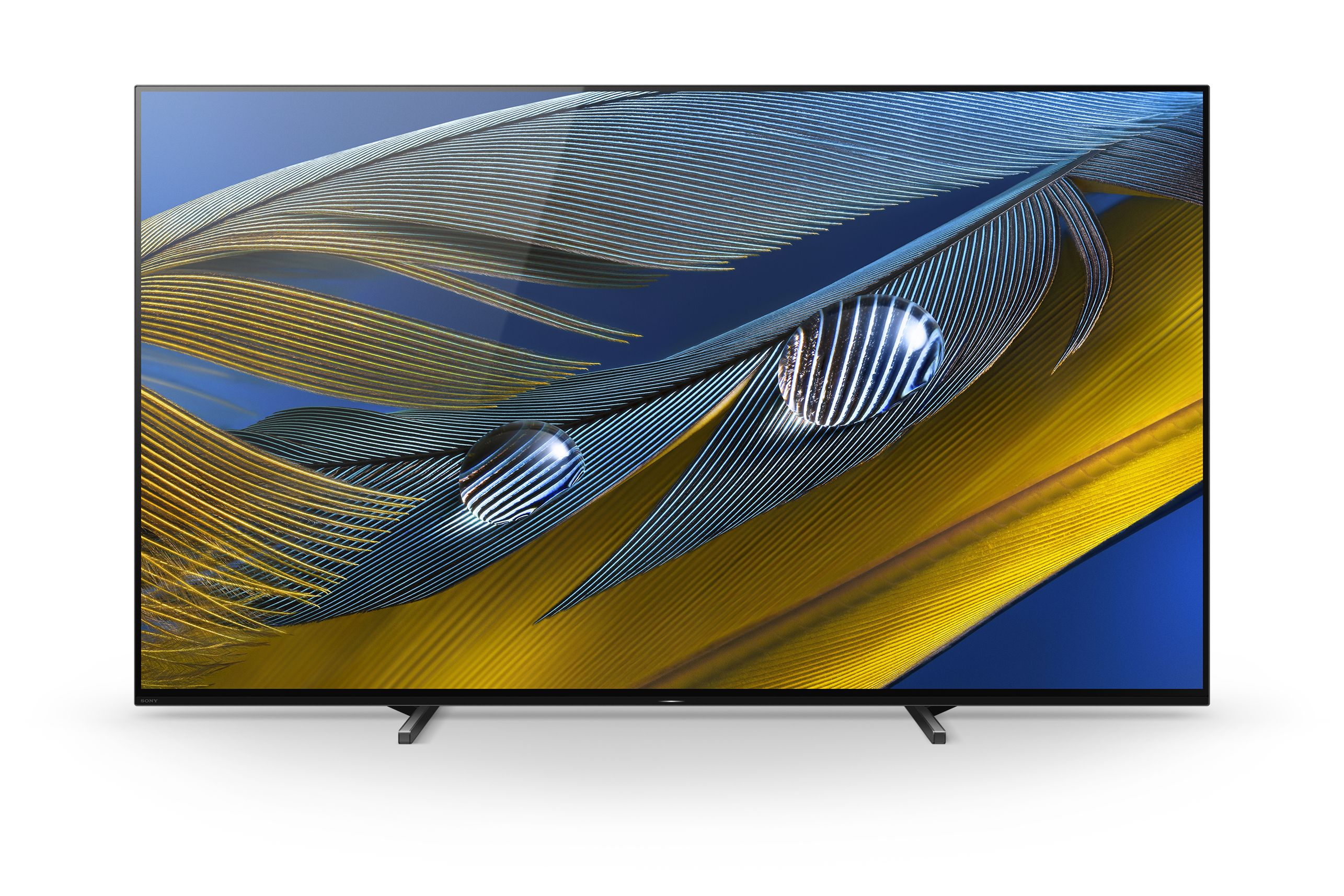 Sony XR-65A80J / OLED screen / 65 inch / 2021