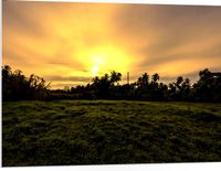 Merkloos / Sans marque PVC Schuimplaat - Grasveld met Zonsondergang - 100x75 cm