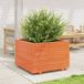 Maison Exclusive - Pot de fleurs pour le jardin, brun foncé, 70x70x49,5 cm, bois de pin massif