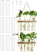 Wan GmbH Station de propagation de plantes mural - Décoratif - Set de 9 - Verre de haute qualité