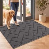 Biscpro Deurmatten Binnen Duiten Schoonloopmat Vuilschraper, Antislip, Machinewasbaar, Waterabsorberend, Entree Deurmat Voor Voordeur, Gang, Entree, Keuken, Slaapkamer - 60 x 90 cm