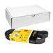 Contitch Continental Contitech 6PK1448 V-ribband