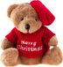Ours en peluche, mascotte, porte-clés doux, disponible avec pull et bonnet