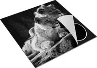 Chefcare Inductie Beschermer Leeuw en Leeuwin 78x78cm - Zwart Wit