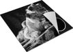 Chefcare Inductie Beschermer Leeuw en Leeuwin 78x78cm - Zwart Wit