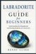 Labradorite Libri GmbH Labradorite Guide for Beginners