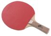 Bodyline Planet tafeltennisracket van hout en antisliprubber