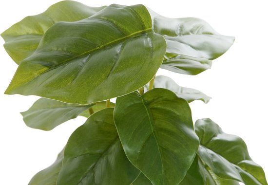 DKD Home Decor Decorative Plant - Black - 30cm