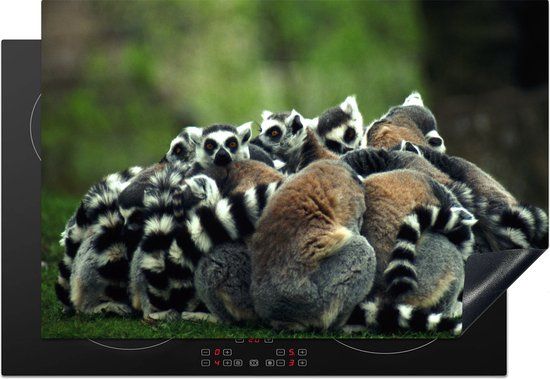 KitchenYeah® Inductie beschermer 77x51 cm - Ringstaartmaki's - Inductiebeschermer