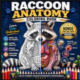 Raccoon Anatomy Coloring Book