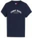 Tommy Hilfiger Tommy Jeans T-shirt met korte mouwen en ronde hals voor dames, maat M
