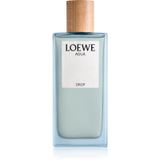 Loewe Agua / 100 ml / Women