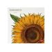 Legami Wandkalender 2025, grote wandkalender 30 x 29 cm, 12 maanden en jaarplanner, ruimte voor notities en notities, 6 talen, sterrenbeelden en internationale feestdagen, herbarium