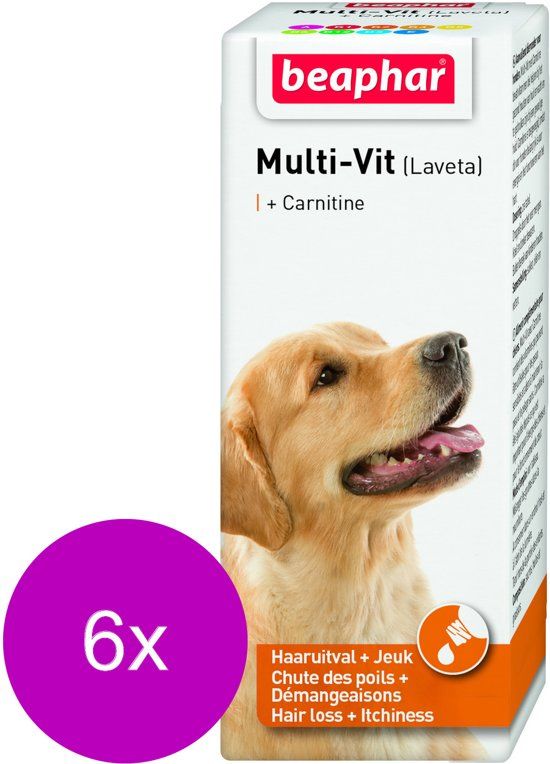 BEAPHAR Laveta Hond Carnithine - Voedingssupplement - Huid - Vacht - 6 x 50 ml