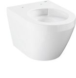 GROHE 102486SH00, Wit