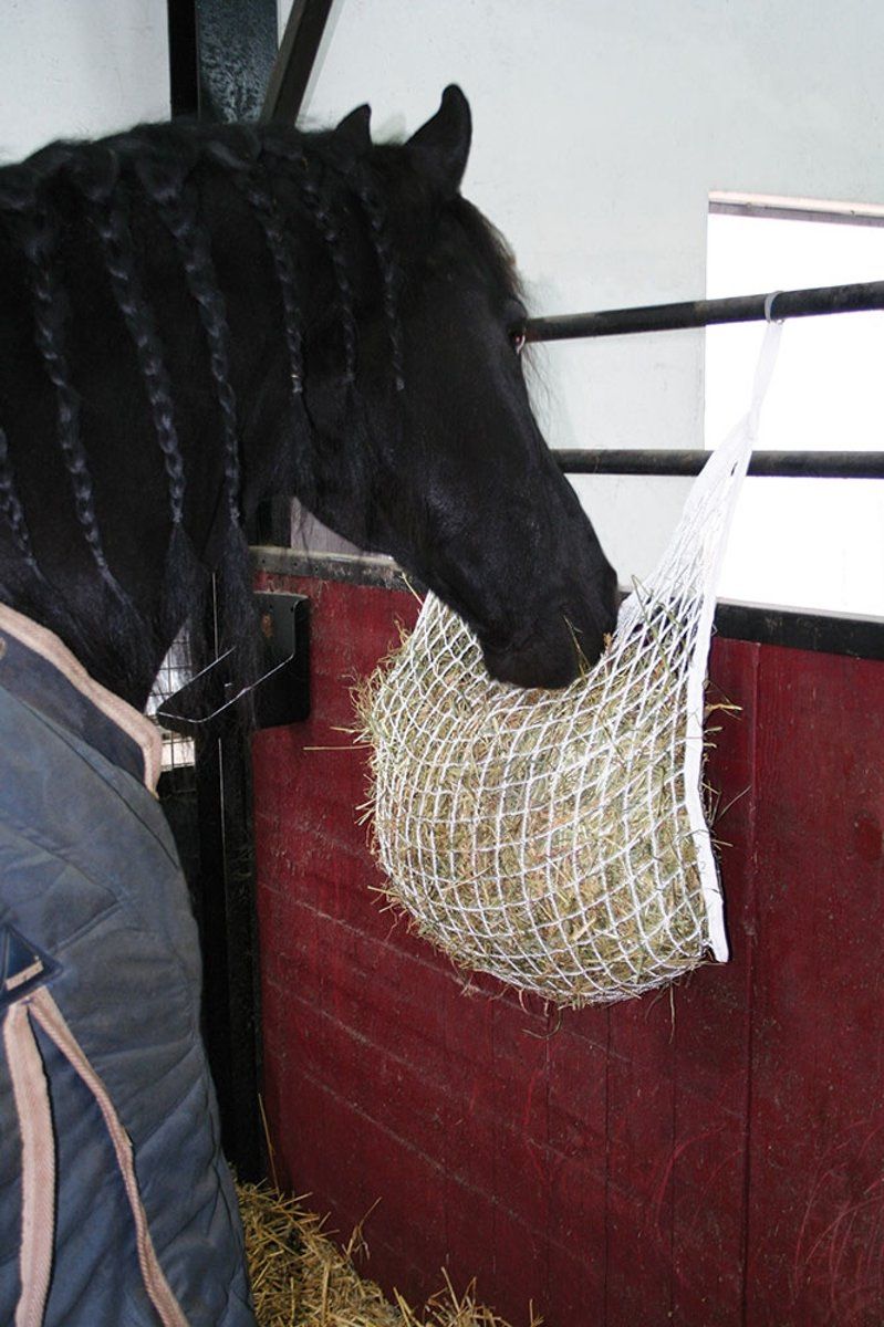 Harry's Horse Slowfeeder wit M