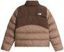 THE NORTH FACE W SAIKURU JACKET Bruin S EU