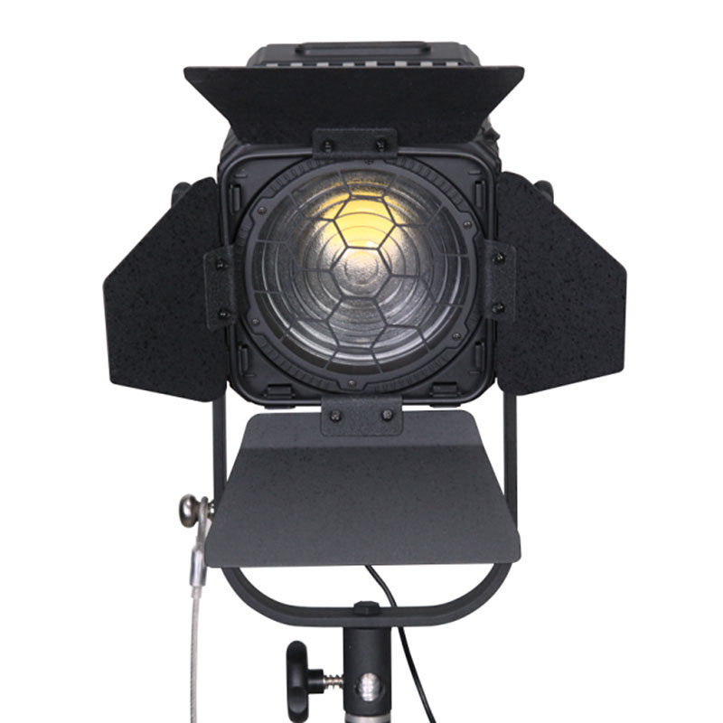 Ledgo D600 fresnel D60