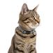 Nobleza Kattenhalsband Grijs Luipaardprint Verstelbaar 20-30 cm