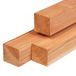 Tuindeco Paal douglas 11,0x11,0x250 cm
