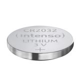 Intenso Energy CR2032 3V Lithium Knoopcel Batterijen - 6 Stuks