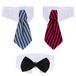 3 Shappy 3 stuks instelbare huisdier honden katten vlieg huisdier kostuum stropdas kraag voor kleine honden puppy's verzorging accessoires