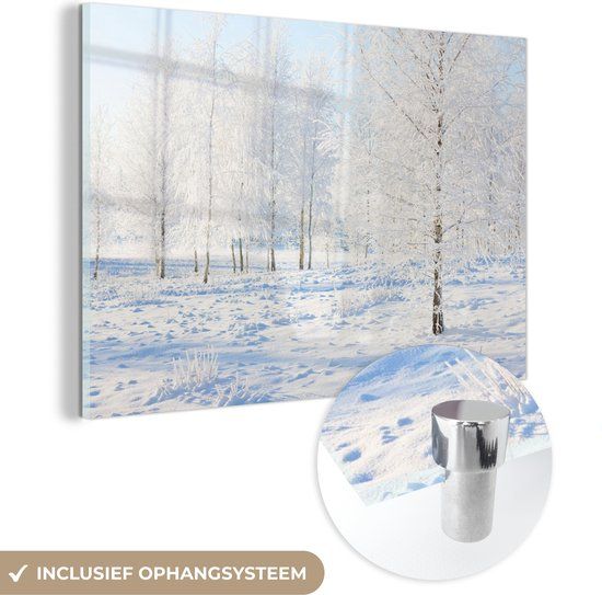 MuchoWow® Glasschilderij 180x120 cm - Acrylglas Schilderij - Sneeuw - Winter - Foto op glas - Multicolor - Rechthoek