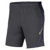 NIKE Nike Dri-fit Academy Pro Short Garçon
