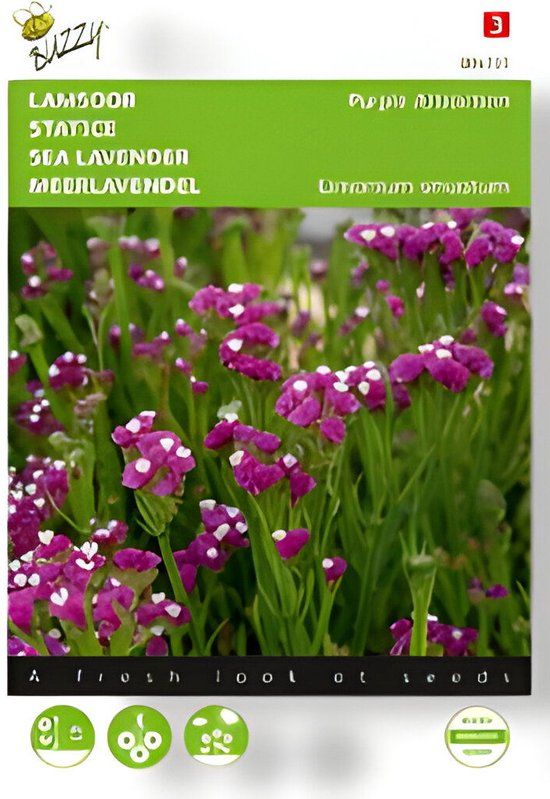 Buzzy - Zaden limonium lamsoor purple attraction 0.2 gram